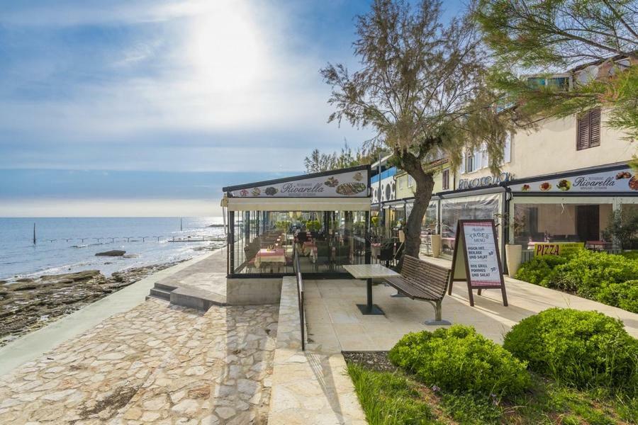 Apartment Lion Novigrad  Exterior photo
