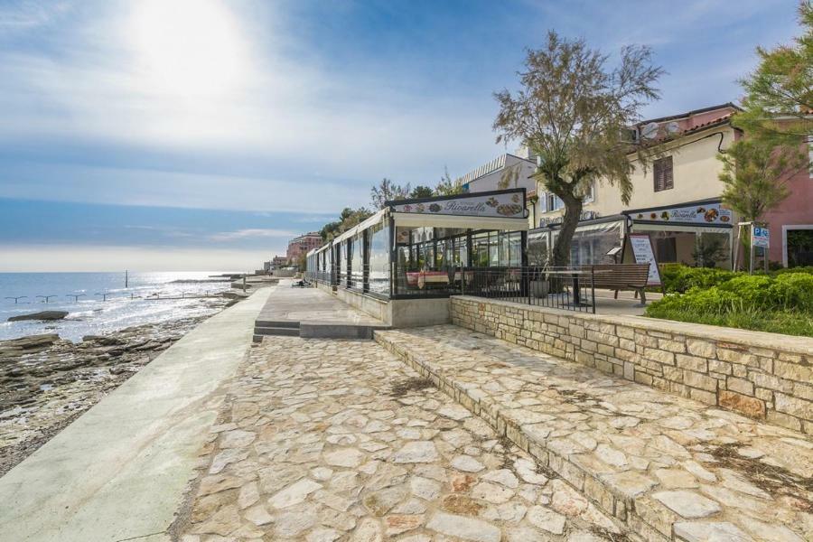 Apartment Lion Novigrad  Exterior photo